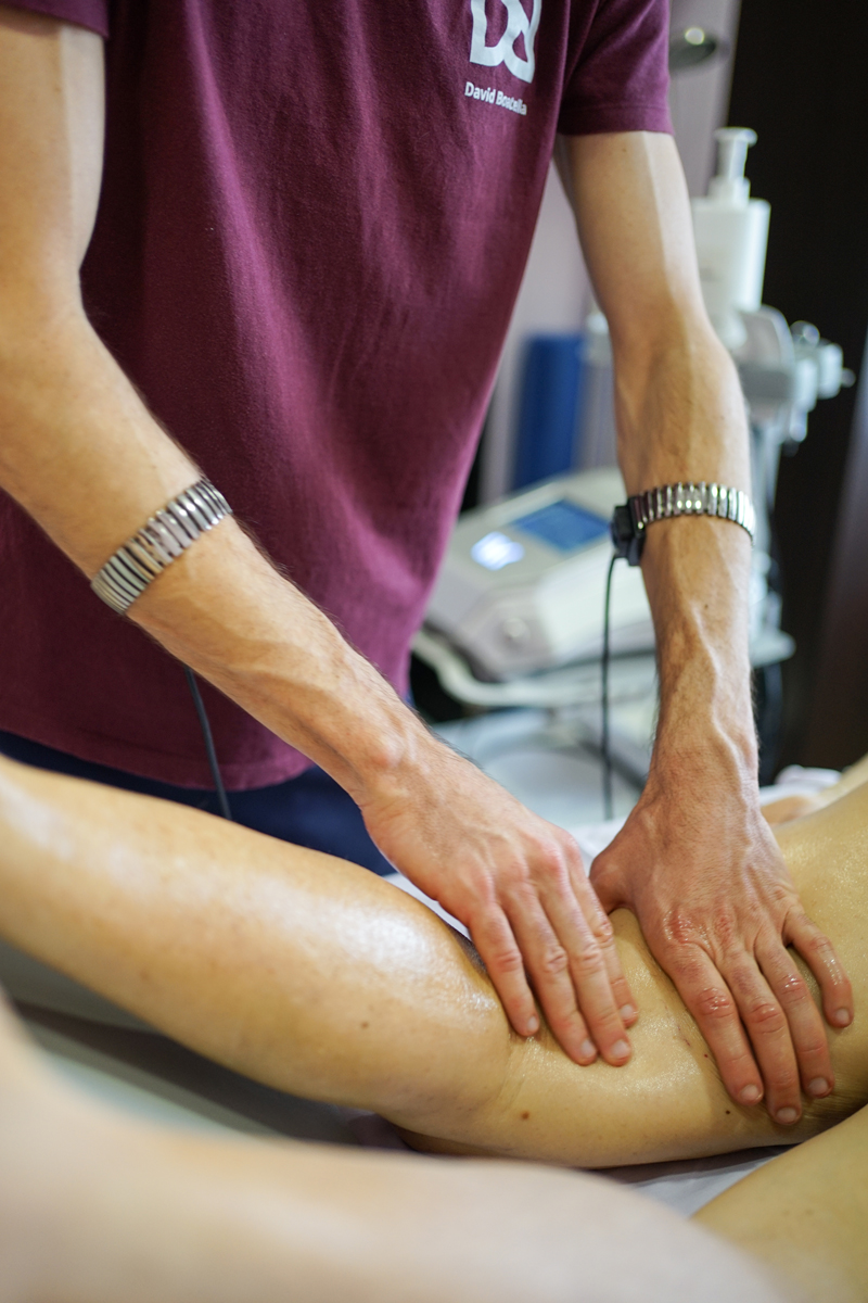 Fisio-aparell-locomotor-II